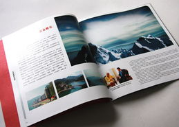 上維廣告公司 一站式品牌設(shè)計與營銷解決方案